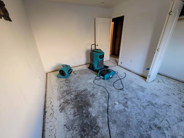 Best Fire Damage Restoration  in Deltona, FL