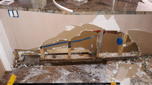 Best Flood damage cleanup  in Deltona, FL
