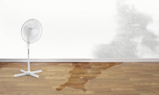 Best Residential water damage restoration  in Deltona, FL