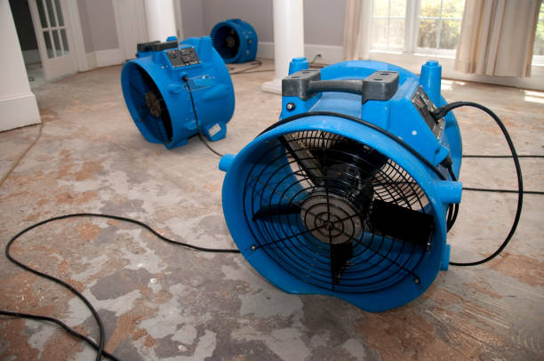 Best Carpet water damage restoration  in Deltona, FL