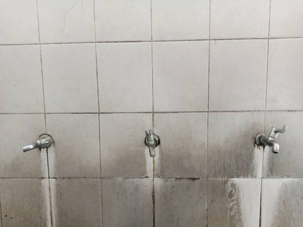 Best Flood damage cleanup  in Deltona, FL