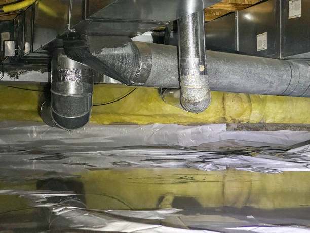 Best Flooded house restoration  in Deltona, FL