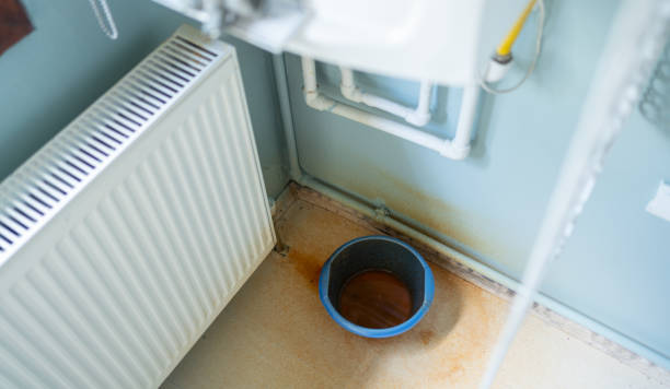 Best Flood restoration services  in Deltona, FL