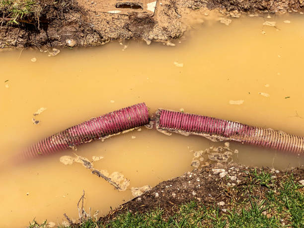 Local water damage restoration in FL