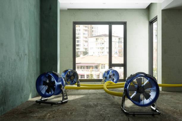 Best Water damage cleanup near me  in Deltona, FL