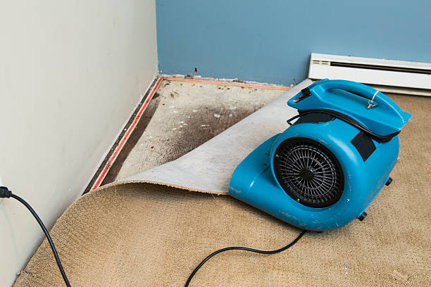 Best Flooded house restoration  in Deltona, FL
